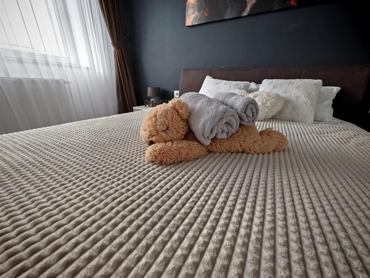 Luxurious Landing Apartment Brašov Exteriér fotografie